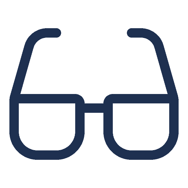 vision icon