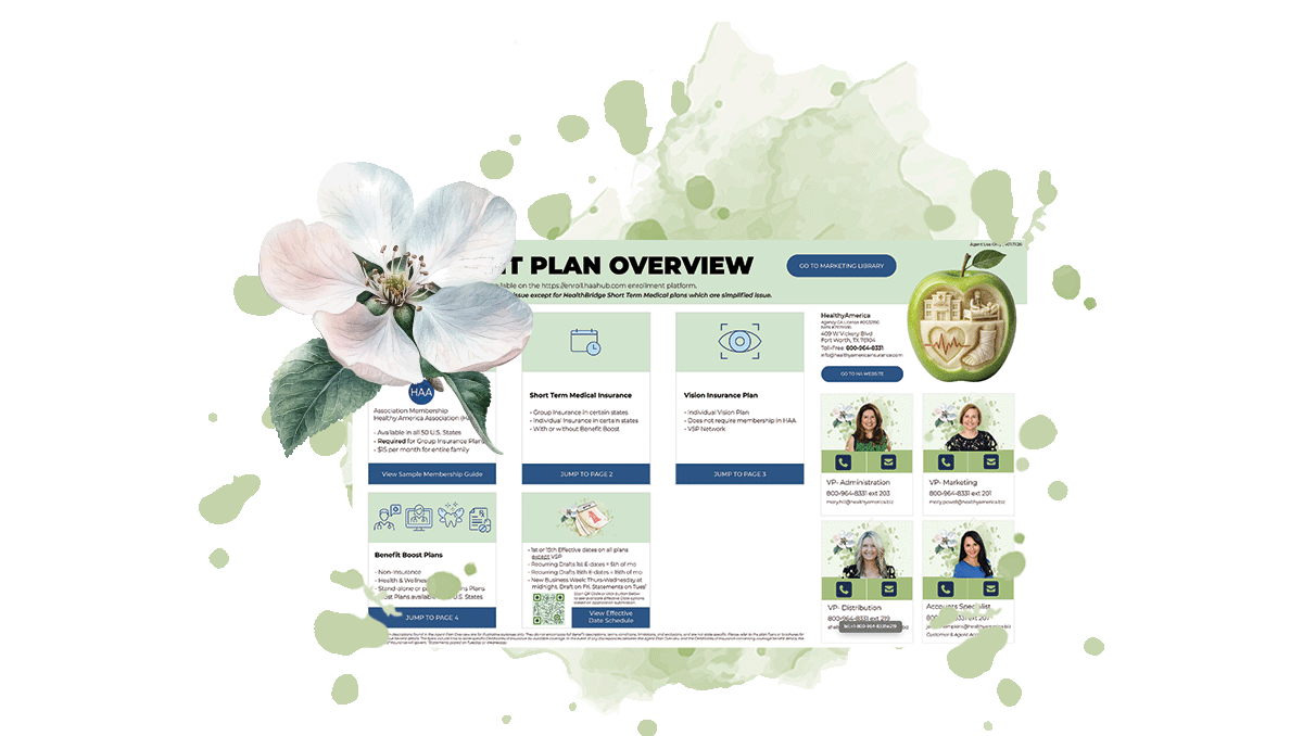 HAABB Plan Overview cover