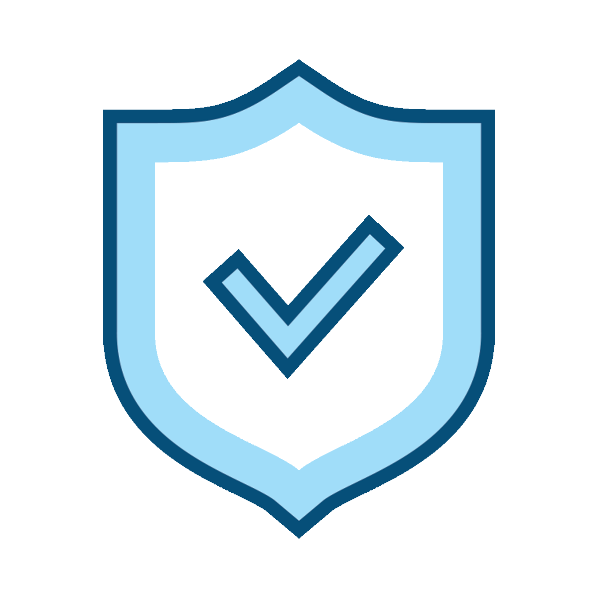 Privacy Concerns Icon